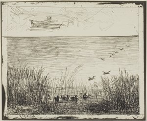 Bagno z Kaczkami autorstwa Charles Francois Daubigny
