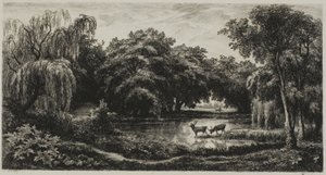 Bagno z Jeleniami autorstwa Charles Francois Daubigny