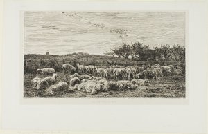 Łąka z owcami autorstwa Charles Francois Daubigny