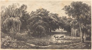 Basen z Jeleniem autorstwa Charles Francois Daubigny