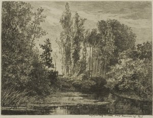 Jelenie na brzegu wody autorstwa Charles Francois Daubigny