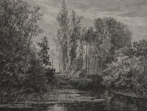 Jelenie nad wodą autorstwa Charles Francois Daubigny