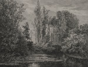 Jelenie na brzegu, 1850 r. autorstwa Charles Francois Daubigny