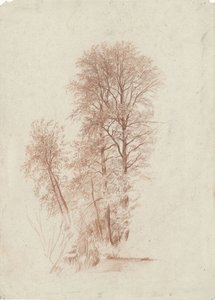 Studium dwóch smukłych i kilku mniejszych drzew w liściach autorstwa Charles Francois Daubigny