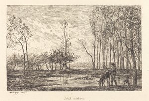 Zachód słońca autorstwa Charles Francois Daubigny