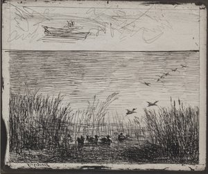 Bagno z kaczkami autorstwa Charles Francois Daubigny