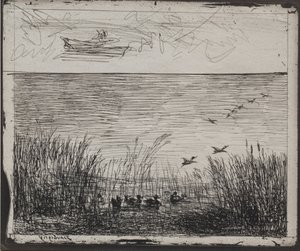 Bagno z kaczkami, oryginalne wrażenie 1862, wydrukowane w 1921. autorstwa Charles Francois Daubigny
