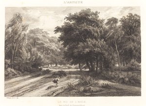 Gniazdo orła w lesie Fontainebleau (le nid de l