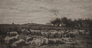 Duża owczarnia autorstwa Charles Francois Daubigny