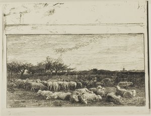 Duża owczarnia autorstwa Charles Francois Daubigny