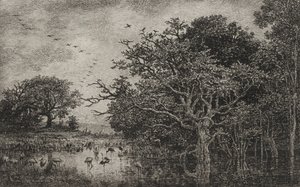 Bagno z bocianami autorstwa Charles Francois Daubigny