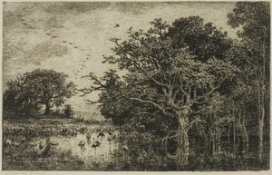 Bagno z bocianami autorstwa Charles Francois Daubigny
