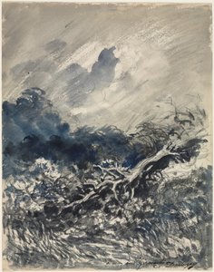 Dąb i trzcina, ok. 1930 r. 1873 (mycie niebiesko-czarne) autorstwa Charles Francois Daubigny