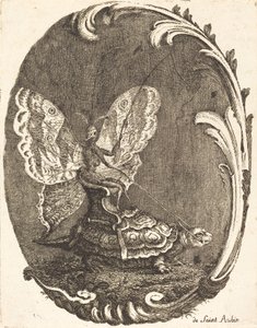 Motyl i żółw