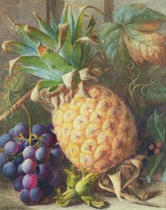 Martwa natura z ananasem i winogronami