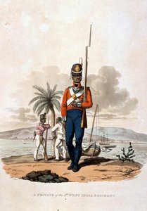 Szeregowiec z 5 Pułku Zachodnioindyjskiego, z „Kostiumy armii Imperium Brytyjskiego, według ostatnich przepisów z 1812 r.”, sztychowane przez J.C. Stadlera, wydane przez Colnaghi und Co. 1812-15 (kolor autorstwa Charles Hamilton Smith