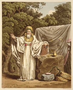Arcydruid w habitacie sędziowskim, wyryty przez Roberta Havella (1769-1832) 1815 (akwatinta) autorstwa Charles Hamilton Smith