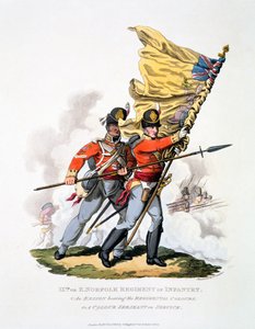 Uniform und Colours 9. Pułku Piechoty East Norfolk, z „Kostium Imperium Brytyjskiego według ostatnich przepisów”, opublikowany w 1813 r. (akwatinta ręcznie kolorowana) autorstwa Charles Hamilton Smith