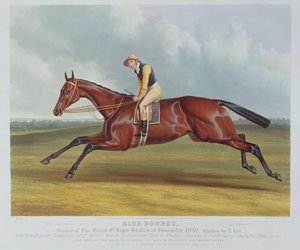 „Blue Bonnet”, zwycięzca Great St. Leger Stakes w Doncaster, 1842, grawerowany przez Johna Harrisa (ok. 1791-1873), wyd. Rudolph Ackermann, 1842 (akwatinta)
