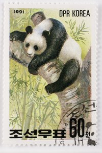 Znaczek/Korea Północna/Ailuropoda melanoleuca/Wielka panda/Wielka Panda