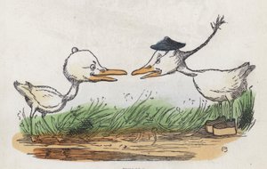 Dwa ptaki naprzeciw siebie (kolorowy grawerunek) autorstwa Charles Henry (after) Bennett