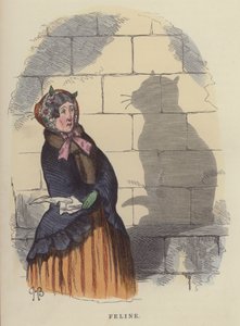 Feline (kolorowy grawer)
