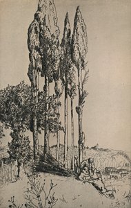 Cyprysy w pobliżu Sieny, 1903