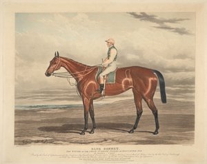  autorstwa Charles Hunt