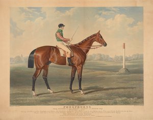  autorstwa Charles Hunt