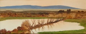 Zachód słońca nad stawem (olej na pokładzie) autorstwa Charles Hutton Lear