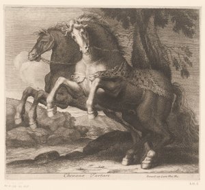 hodowanie koni Chevaux Tatare (tytuł na obiekcie) Seria zwierzęca (tytuł serii) autorstwa Charles II Errard (attributed to)