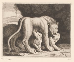 karmiąca lwica Seria zwierzęca (tytuł serii) autorstwa Charles II Errard (attributed to)