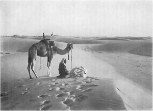 Modlitwa o zachodzie słońca na pustyni, ok. 1913 r.