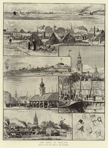 Hok holenderski autorstwa Charles J. Staniland