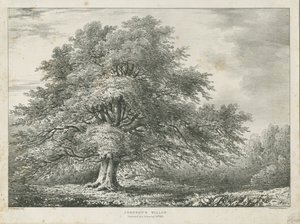 Lichfield - ["Dr. Johnson"] Willow Tree: litografia, nd [1789-1850]
