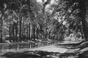 Staw T autorstwa Charles Latham
