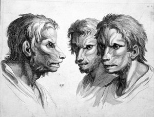 Trzy twarze wilkołaka (wilkołaka) - autorstwa Le brun autorstwa Charles Le Brun