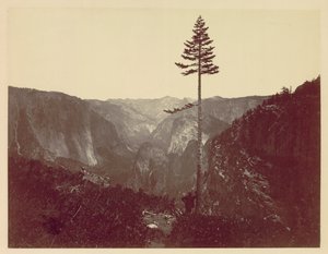 Dolina Yosemite z Mariposa Trail, ok. godz. 1865. autorstwa Charles Leander Weed