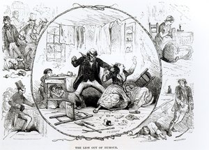 Lew pozbawiony humoru (rycina) (zdjęcie czarno-białe) autorstwa Charles M. Gorway