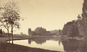 Bois de Boulogne, 1858 r. (zdjęcie) autorstwa Charles Marville