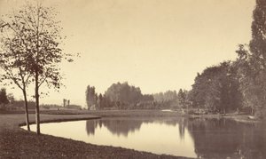 Lasek Buloński, 1858. autorstwa Charles Marville