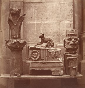 Zmumifikowany Kot znaleziony w wykopaliskach w Saint-Germain-en-Laye 1862.