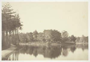 Nieuprawny autorstwa Charles Marville