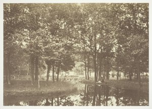 Nieuprawny autorstwa Charles Marville