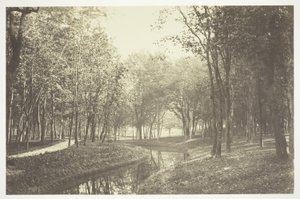 Nieuprawny autorstwa Charles Marville