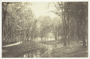 Bez tytułu, ok. 1850. [Drzewa nad wodą w Bois de Boulogne, park w Paryżu]. autorstwa Charles Marville