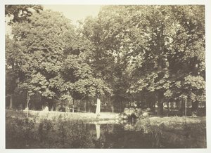 Bez tytułu, ok. 1850. [Drzewa nad wodą w Bois de Boulogne, park w Paryżu]. autorstwa Charles Marville