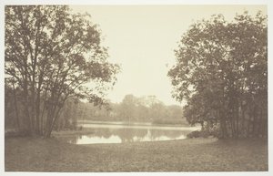 Bez tytułu, ok. 1850. [Drzewa nad wodą w Bois de Boulogne, park w Paryżu]. autorstwa Charles Marville