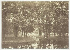 Bez tytułu, ok. 1850. [Drzewa nad wodą w Bois de Boulogne, park w Paryżu]. autorstwa Charles Marville