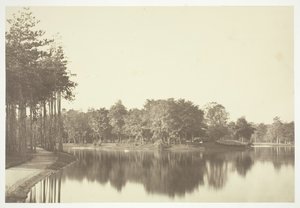 Bez tytułu, ok. 1850. [Drzewa nad wodą w Bois de Boulogne, park w Paryżu]. autorstwa Charles Marville